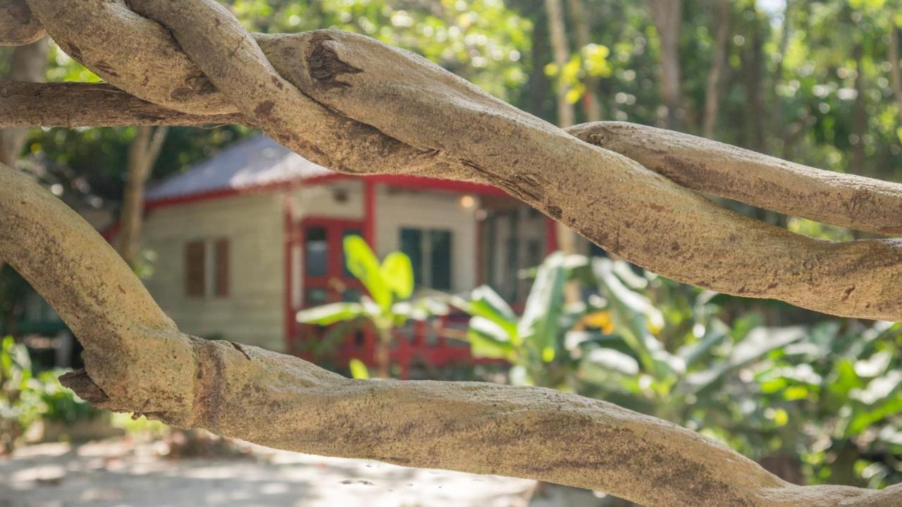 מלון קו רונג סנלואם Sarasea Koh Rong Samloem מראה חיצוני תמונה